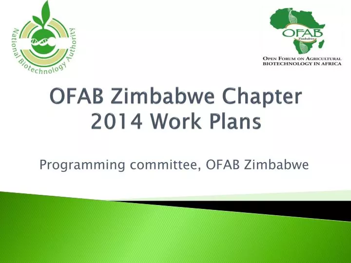 ofab zimbabwe chapter 2014 work plans