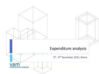 Expenditure analysis