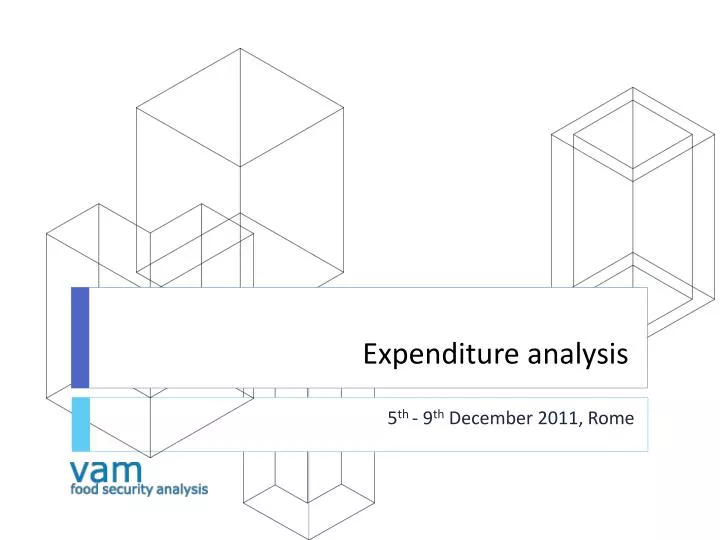 expenditure analysis
