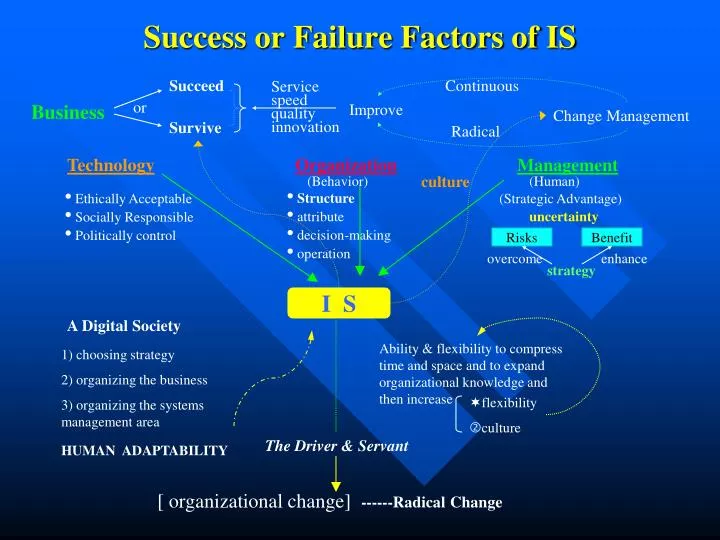 success or failure factors of is
