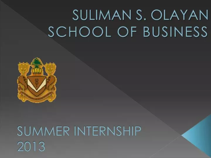 summer internship 2013