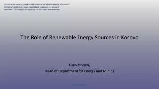 Luan Morina, Head of Department for Energy and Mining