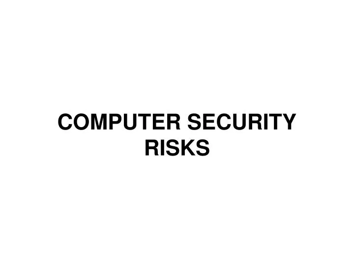 computer security risks