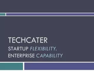 TechCater Startup Flexibility. Enterprise Capability