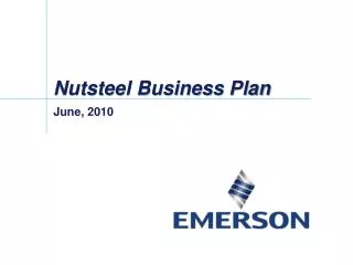 Nutsteel Business Plan