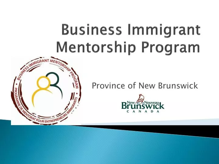 business immigrant mentorship program