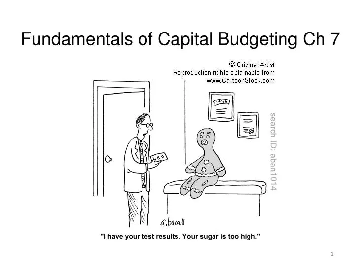 fundamentals of capital budgeting ch 7