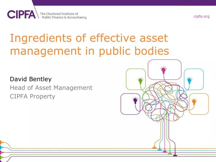 ingredients of effective asset management in public bodies