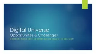Digital Universe Opportunities &amp; Challenges