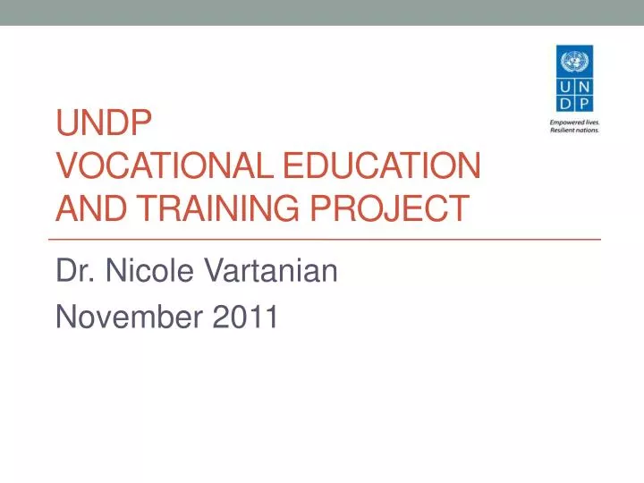 undp vocational education and training project