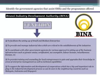 Identify the government agencies that assist SMEs and the programmes offered