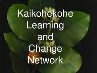 Kaikohekohe Learning a nd Change Network