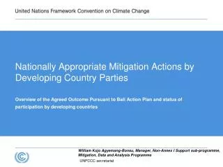 Nationally Appropriate Mitigation Actions by Developing Country Parties