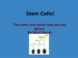 Stem Cells!
