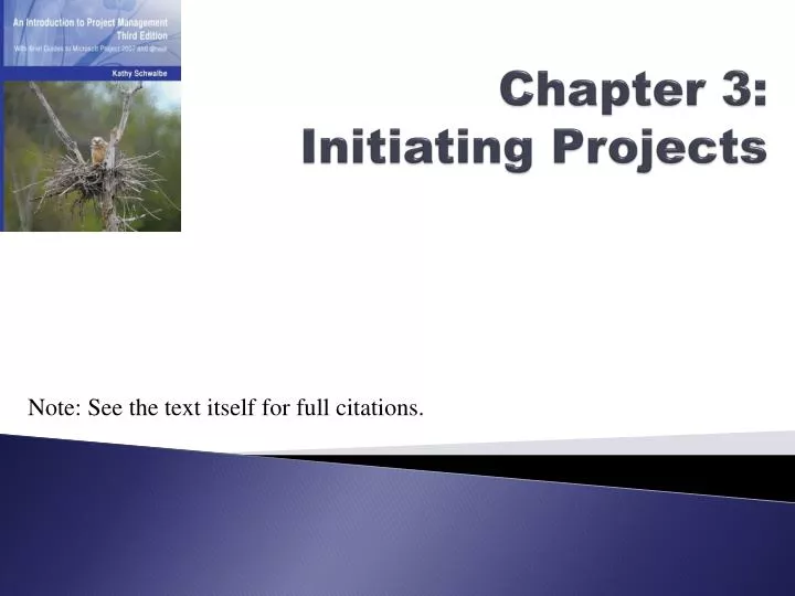 chapter 3 initiating projects