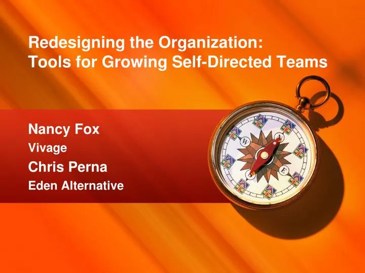 redesigning the organization tools for growing self directed teams