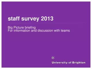 s taff survey 2013