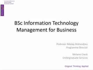 BSc Information Technology Management for Business