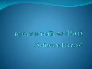 software process