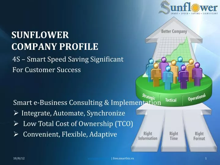 sunflower company profile