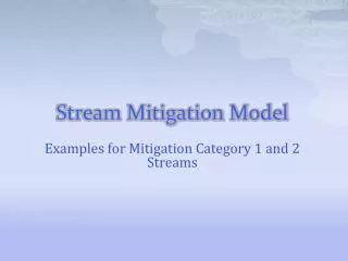 Stream Mitigation Model