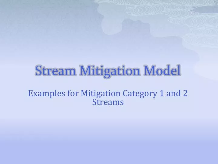 stream mitigation model