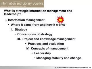 What is strategic information management and leadership?