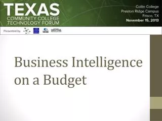 Business Intelligence on a Budget