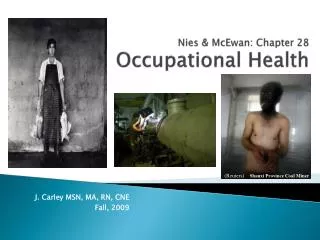 Nies &amp; McEwan : Chapter 28 Occupational Health