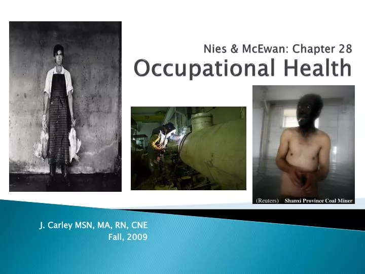 nies mcewan chapter 28 occupational health