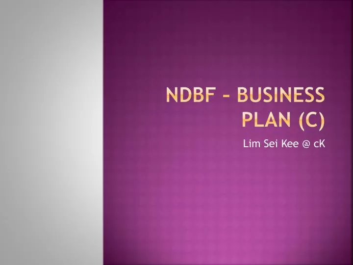 ndbf business plan c