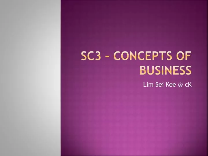 sc3 concepts of business
