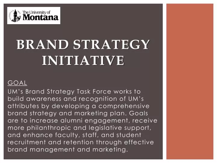 brand strategy initiative