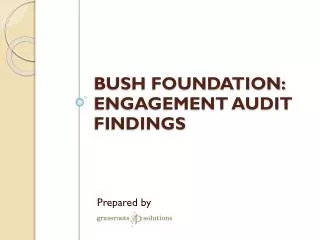 Bush Foundation: Engagement audit findings