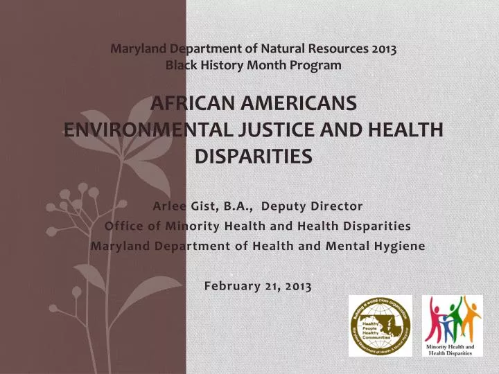african americans environmental justice and health disparities