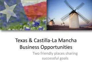Texas &amp; Castilla-La Mancha Business Opportunities