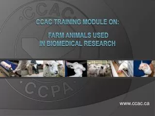 CCAC Training Module on: Farm Animals USED in Biomedical Research