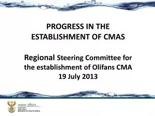 PROGRESS IN THE ESTABLISHMENT OF CMAS Regional Steering Committee for the establishment of Olifans CMA 19 July 2013