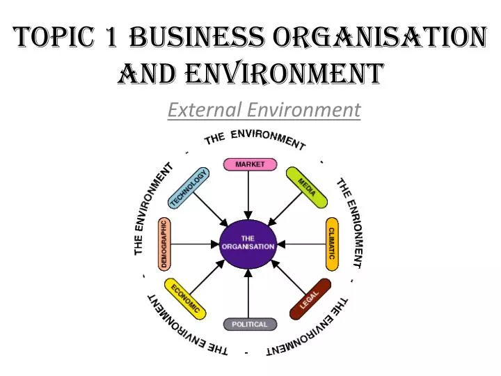 topic 1 business organisation and environment