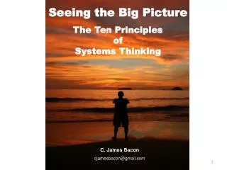 Seeing the Big Picture The Ten Principles of Systems Thinking