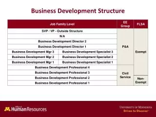 Business Development Structure