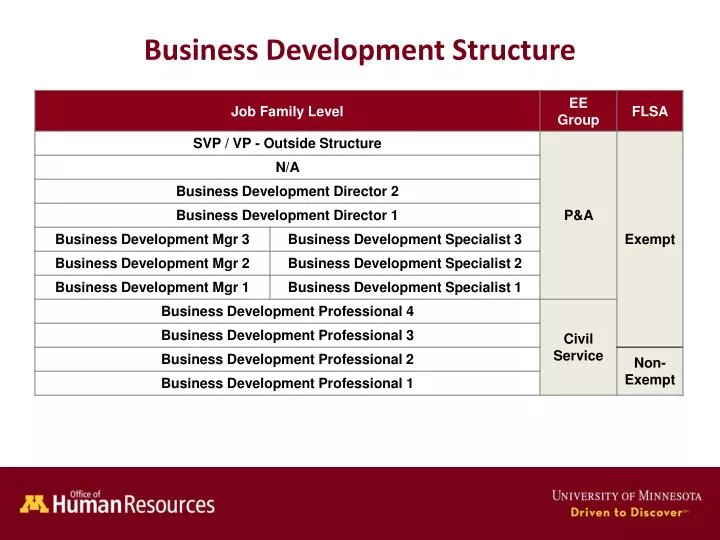 business development structure
