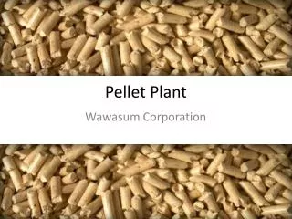 Pellet Plant