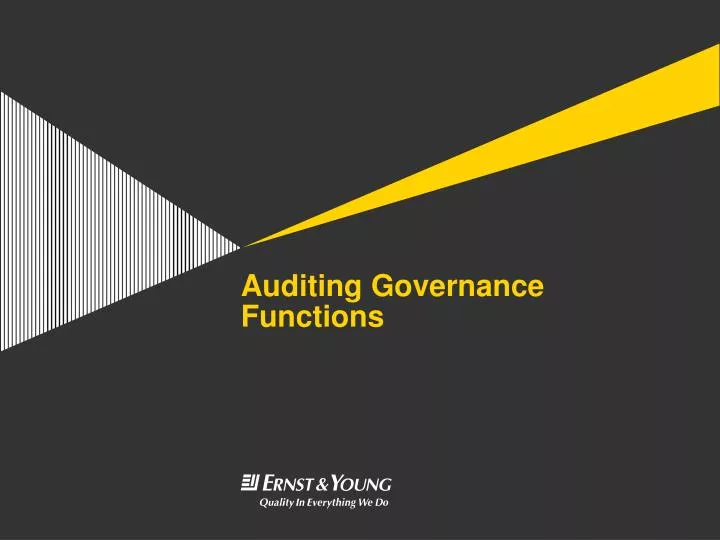 auditing governance functions