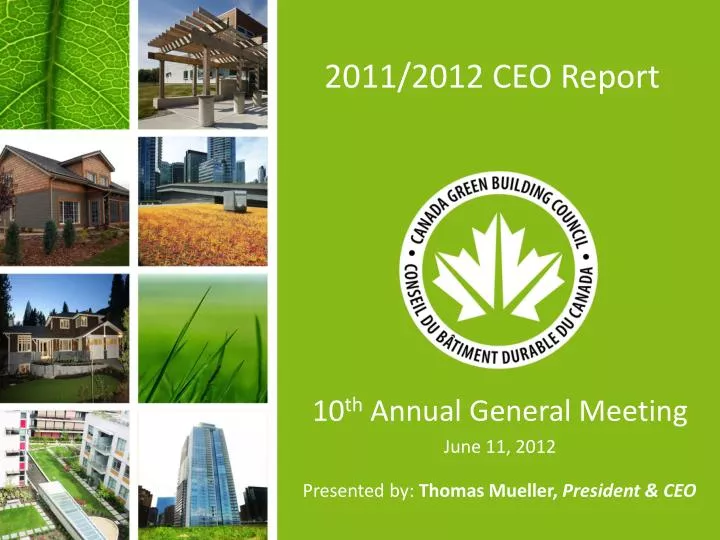 2011 2012 ceo report