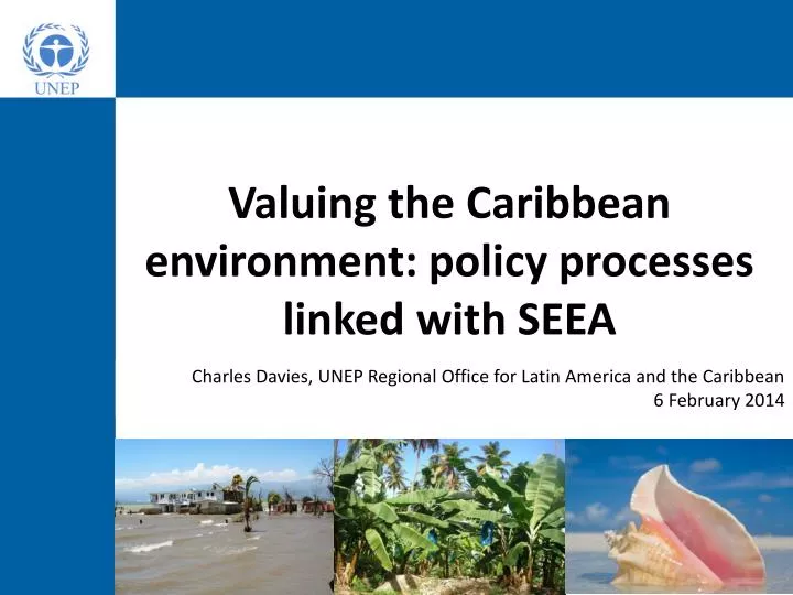 valuing the caribbean environment policy processes linked with seea