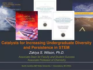 Catalysts for Increasing Undergraduate Diversity and Persistence in STEM