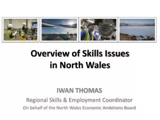 Overview of Skills Issues in North Wales