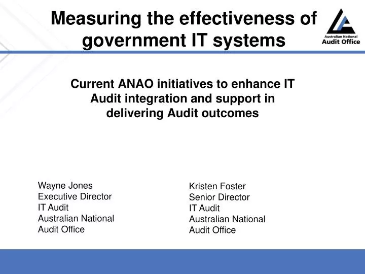 measuring the effectiveness of government it systems