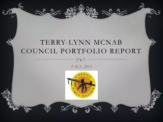 Terry-lynn mcnab Council portfolio report